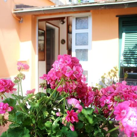 Primario Apartman Levanto Kültér fotó