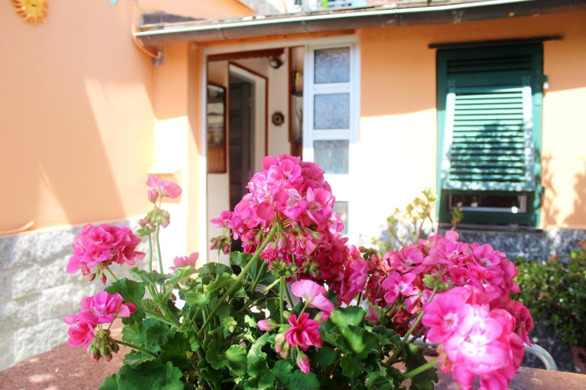 Primario Apartman Levanto Kültér fotó